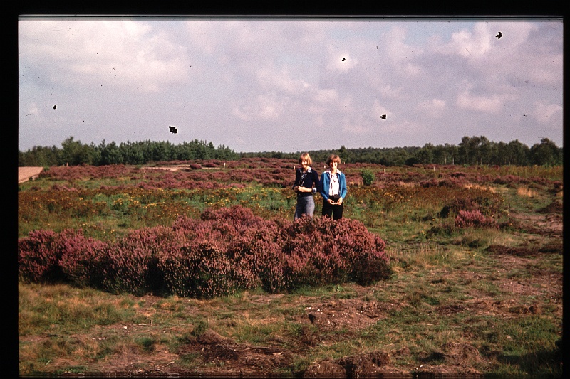 26.Veluwe okt 1977 Brigitte,Marion.JPG